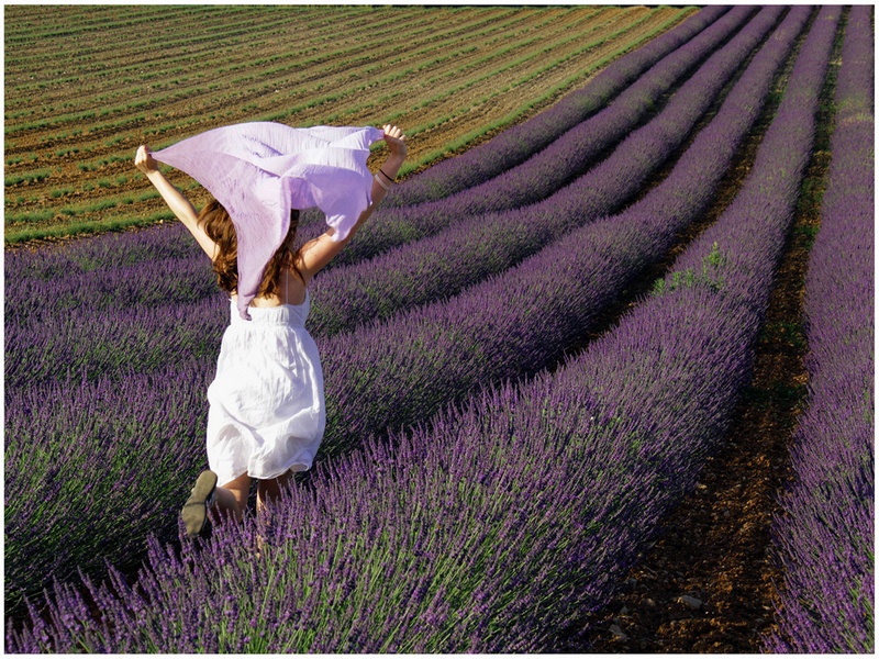 920 - AUDE DANS LAVANDE - DUSSOUCHAUD BERNARD - france.jpg